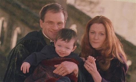 lily potter and james potter|The Life of Lily & James Potter (Harry Potter Explained).